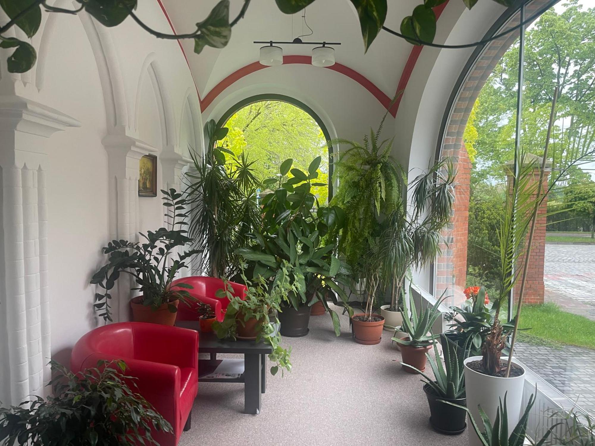 Szkolne Schronisko Mlodziezowe Dabrowka Hostel Prudnik Εξωτερικό φωτογραφία